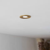 Brushed Gold CCT Dim To Warm Fire Rated LED Dimmable 10W IP65 Downlight