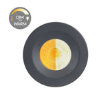 Anthracite CCT Dim To Warm Fire Rated LED Dimmable 10W IP65 Downlight