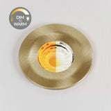 Brushed Brass CCT Dim To Warm Fire Rated LED Dimmable 10W IP65 Downlight