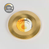 Brushed Gold CCT Dim To Warm Fire Rated LED Dimmable 10W IP65 Downlight